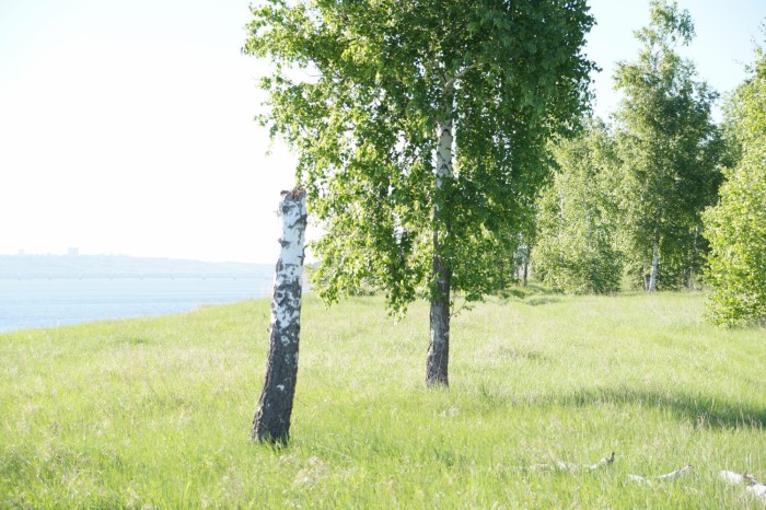 Солнечный берег, земля Ульяновск, земельные участки в Ульяновске